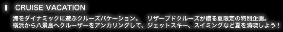 オセアンブルー、ディナークルーズのご案内